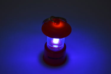 Lantern UV Torch LED Keychain Flashlight UltraViolet Blacklight
